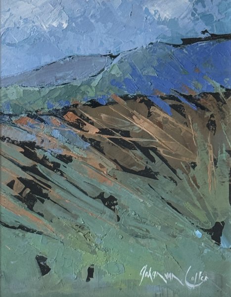 Johan van Coller - KAROO AWAKENING